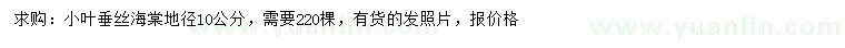 求購地徑10公分小葉垂絲海棠
