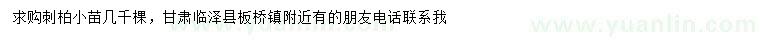 求購刺柏小苗