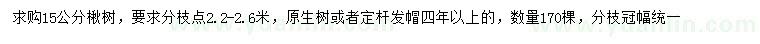 求購(gòu)15公分楸樹