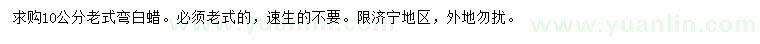 求購10公分老式彎白蠟