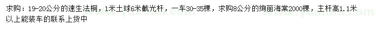 求購19-20公分速生法桐、8公分絢麗海棠