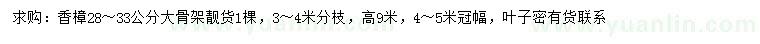 求購(gòu)28-33公分香樟