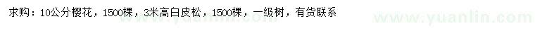 求購10公分櫻花、高3米白皮松