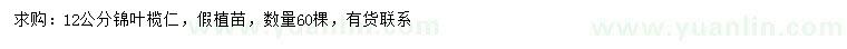 求購(gòu)12公分錦葉欖仁