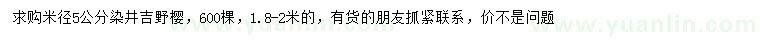 求購米徑5公分染井吉野櫻