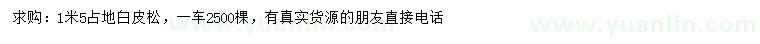 求購1.5米白皮松