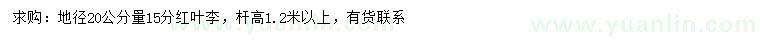 求購地徑20公分量15分紅葉李