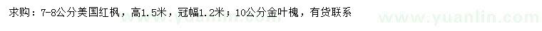 求購(gòu)7-8公分美國(guó)紅楓、10公分金葉槐