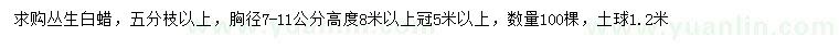 求購(gòu)胸徑7-11公分叢生白蠟