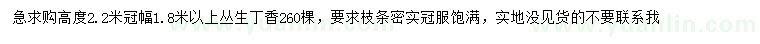 求購(gòu)高2.2米叢生丁香