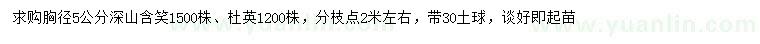 求購胸徑5公分深山含笑、杜英