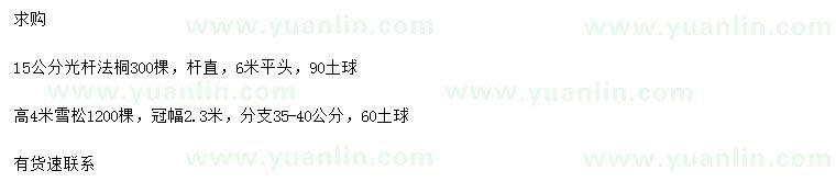求購15公分法桐、高4米雪松