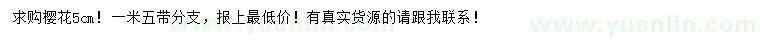 求購(gòu)5公分櫻花