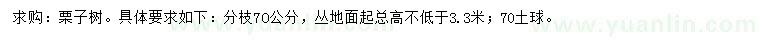 求購(gòu)高3.3米以上栗子樹(shù)