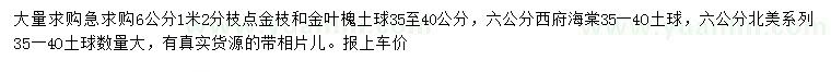 求購金枝槐、金葉槐、西府海棠
