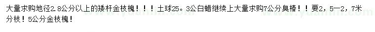 求購矮桿金枝槐、 白蠟、臭椿等