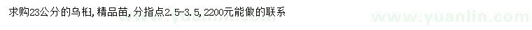 求購23公分烏桕