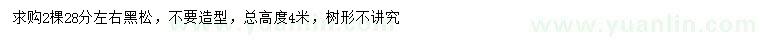 求購28公分黑松