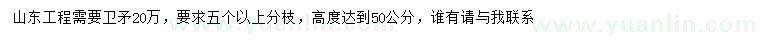 求購高50公分衛(wèi)矛