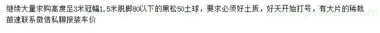 求購(gòu)高足3米黑松