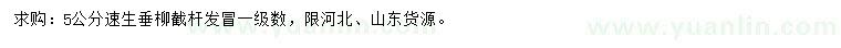 求購(gòu)5公分速生垂柳
