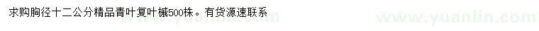 求購胸徑12公分精品青葉復(fù)葉槭
