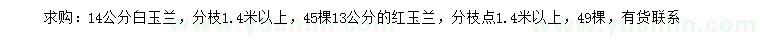 求購14公分白玉蘭、13公分紅玉蘭