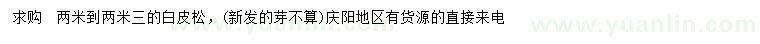 求購(gòu)2-2.3米白皮松