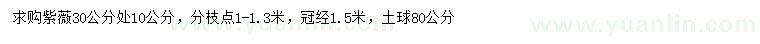 求購30公分量10公分紫薇