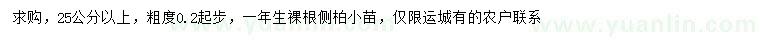 求購25公分以上側(cè)柏小苗
