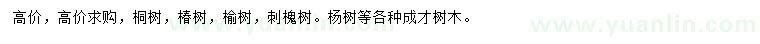 求購(gòu)?fù)?shù)、椿樹(shù)、榆樹(shù)等