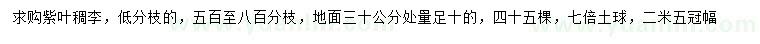 求購(gòu)地面30公分量足10公分紫葉稠李