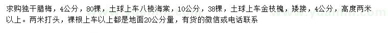 求購4公分獨(dú)干臘梅、10公分金枝槐