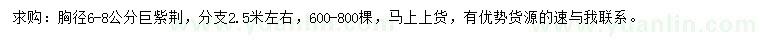 求購(gòu)胸徑6-8公分巨紫荊