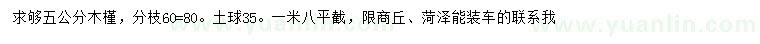 求購5公分木槿