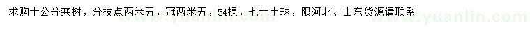 求購10公分欒樹