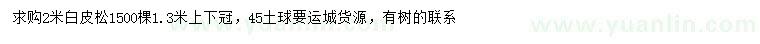 求購(gòu)2米白皮松