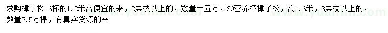 求購高1.2、1.6米樟子松