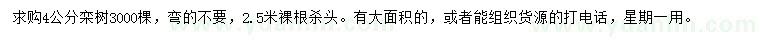 求購4公分欒樹