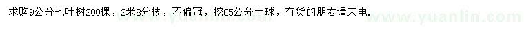 求購9公分七葉樹