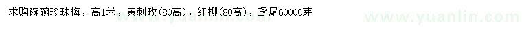 求購珍珠梅、黃刺玫、紅柳等