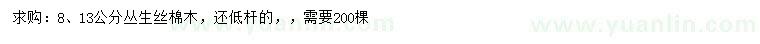 求購8、13公分叢生絲棉木