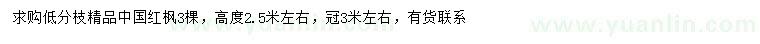 求購高2.5米左右中國紅楓