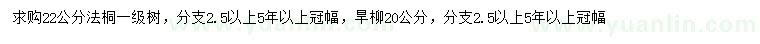 求購(gòu)22公分法桐、20公旱柳