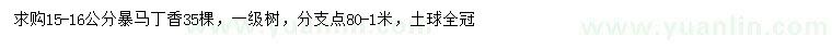 求購(gòu)15-16公分暴馬丁香