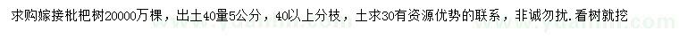 求購40公分量5公分嫁接枇杷樹