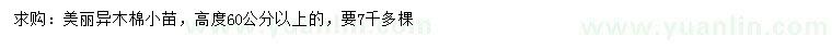 求購高60公分以上美麗異木棉