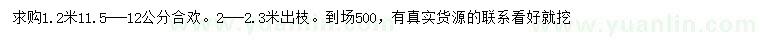 求購1.2米量11.5-12公分合歡