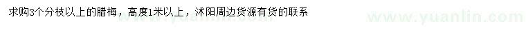 求購高1米以上臘梅