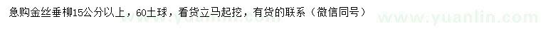 求購15公分以上金絲垂柳